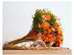 IMG-20210301-WA0019